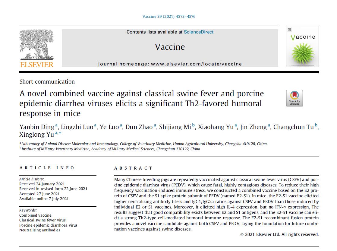 一种新型猪瘟和猪流行性腹泻联合疫苗的开发