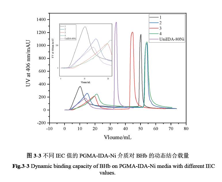 基于大孔聚合物金属螯合层析介质的制备与评价研究